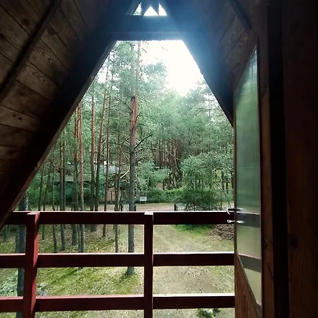 Lesna Wola Polska